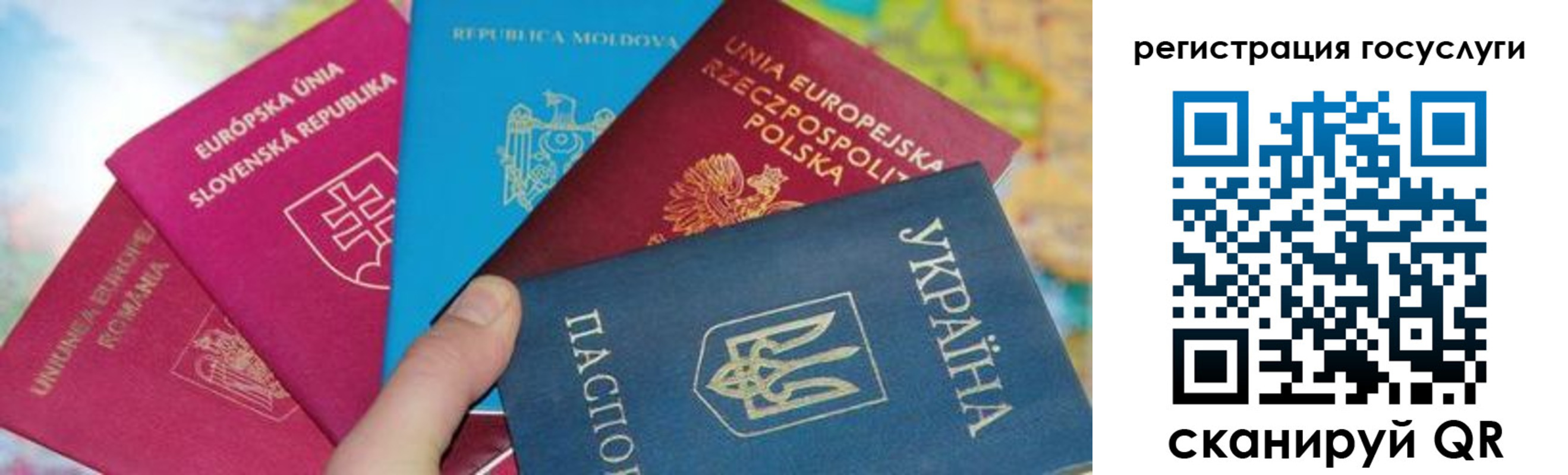 прописка гарантия в Полярном
